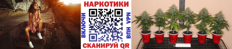 Марихуана Пустошка