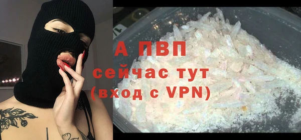 стафф Зеленокумск
