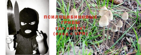 стафф Зеленокумск