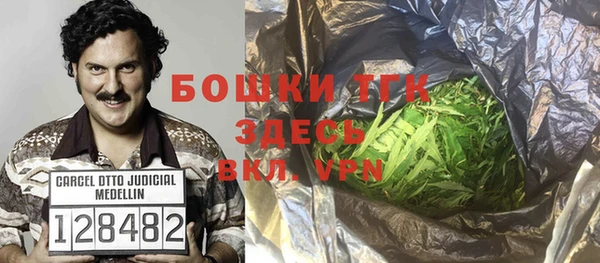 стафф Зеленокумск