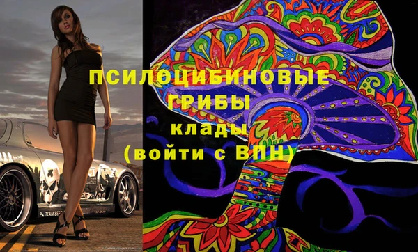 стафф Зеленокумск