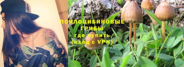 винт Зерноград