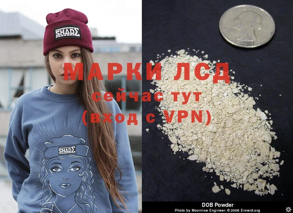 стафф Зеленокумск