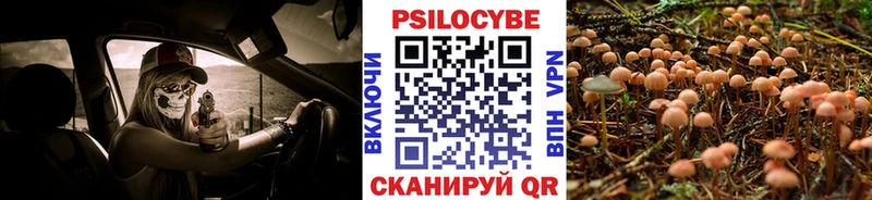 Галлюциногенные грибы мицелий Пустошка