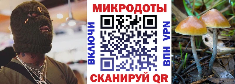 Галлюциногенные грибы GOLDEN TEACHER  Пустошка 